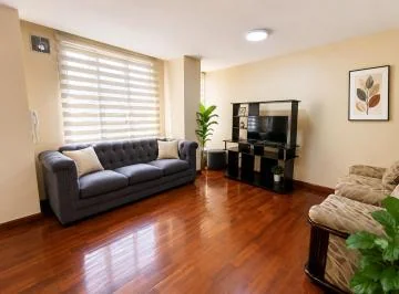 Vendo Departamento con Ubicacion Estrategica, Sector U. Central La Colon Dos Habitaciones — imagen 5