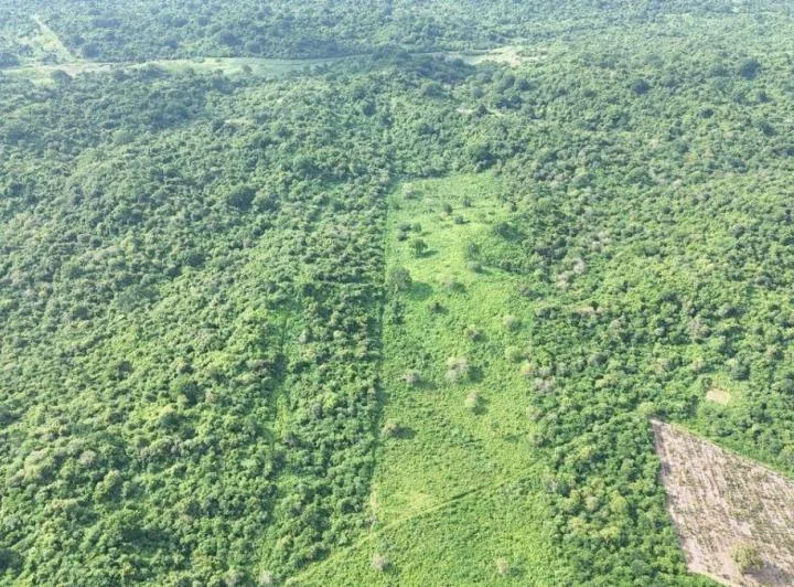 Terreno de 10 Has a 800 m de La Via San Lorenzo del Mate, Guayas — imagen 1
