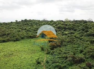 Terreno de 10 Has a 800 m de La Via San Lorenzo del Mate, Guayas — imagen 5