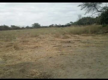 Venta Terreno 90.000 m² en La Via a Salitre, Km 10 Antes de Entrada a Los Lojas. Al Pie de La Vía, Guayas — imagen 4