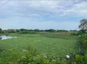 Venta Terreno 90.000 m² en La Via a Salitre, Km 10 Antes de Entrada a Los Lojas. Al Pie de La Vía, Guayas — imagen 3