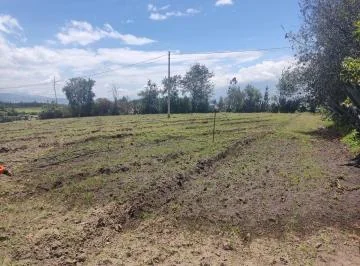 Vendo Terreno Esquinero, Sestor Belisario Quevedo, Cotopaxi — imagen 5