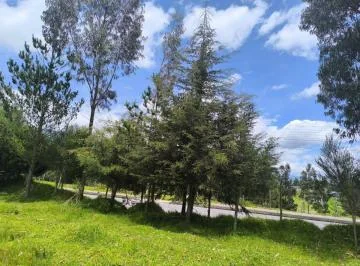 Oportunidad en Pifo, Valle del Inga Bajo, Lotes en Urbanización, Desde 200 m² con Escrituras — imagen 5