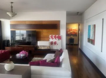 Amplio y Excelente Vista — imagen 4