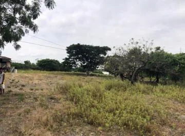 Vendo Terreno - Av Narcisa de Jesus, Guayas — imagen 5