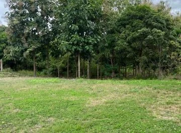 Venta Hcda. 93.20 Has Via Gquil - Salinas, Km 51,sector Cerecita (En Producción), Guayas — imagen 4
