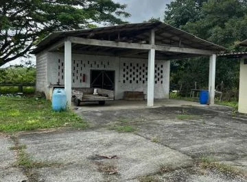 Venta Hcda. 93.20 Has Via Gquil - Salinas, Km 51,sector Cerecita (En Producción), Guayas — imagen 3