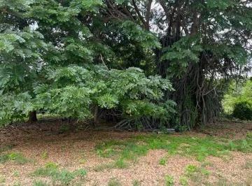 Venta Hcda. 93.20 Has Via Gquil - Salinas, Km 51,sector Cerecita (En Producción), Guayas — imagen 2