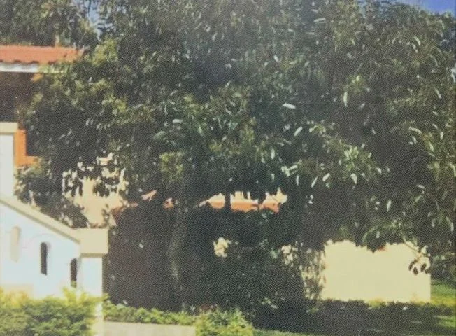 Terreno en venta en Lomas De Sargentillo — imagen 2