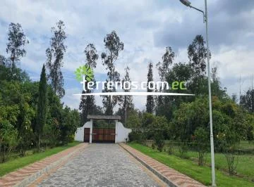 Terreno en Puembo 1.200 m² Urb. El Chaupi Sector Arrayanes — imagen 5