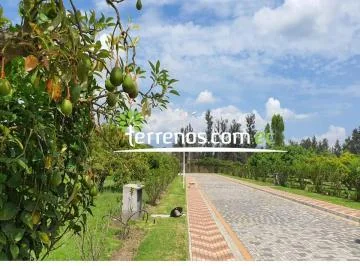 Terreno en Puembo 1.200 m² Urb. El Chaupi Sector Arrayanes — imagen 2