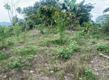 Puerto Quito, Vendo Terreno 4896 m², a 4 Min del Pueblo — imagen 5