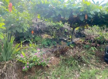 Puerto Quito, Vendo Terreno 4896 m², a 4 Min del Pueblo — imagen 2
