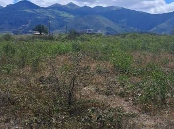 Terreno de 20000 m² en Venta en Norte de San Miguel de Urcuquí, Imbabura — imagen 4