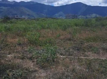 Terreno de 20000 m² en Venta en Norte de San Miguel de Urcuquí, Imbabura — imagen 3