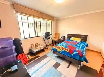 Venta Departamento 3 Dorm. Bellavista — imagen 2