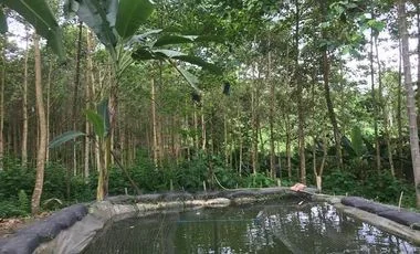Terreno en venta en La Concordia — imagen 5
