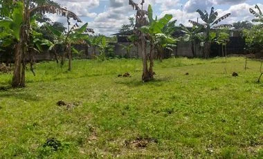 Terreno en venta en La Concordia — imagen 5