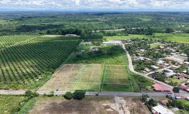Terreno en venta en La Concordia — imagen 5