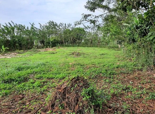 Terreno en venta en La Concordia — imagen 3