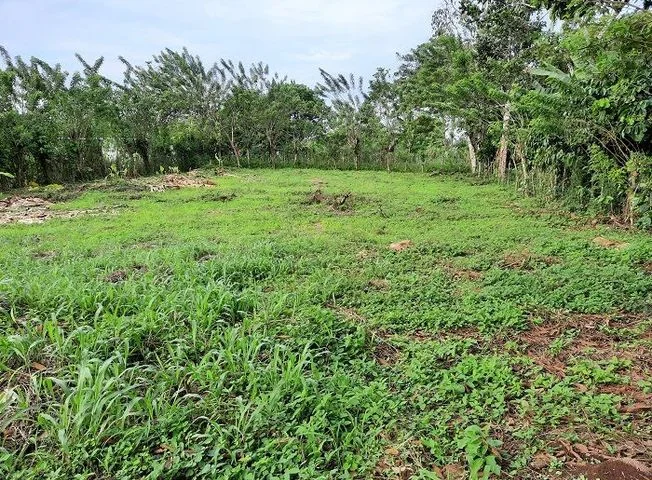 Terreno en venta en La Concordia — imagen 2