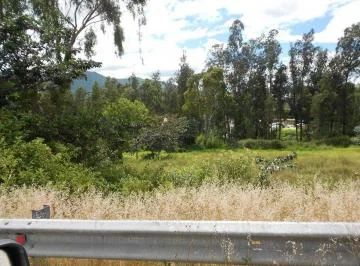Vendo 17.000 m² en La Ruta Viva, Cerca Al Redondel Lumbisi — imagen 3