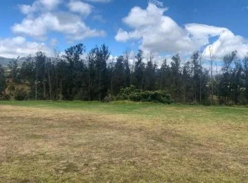 Venta Terreno en Pifo 2500 m² con Galpon — imagen 2