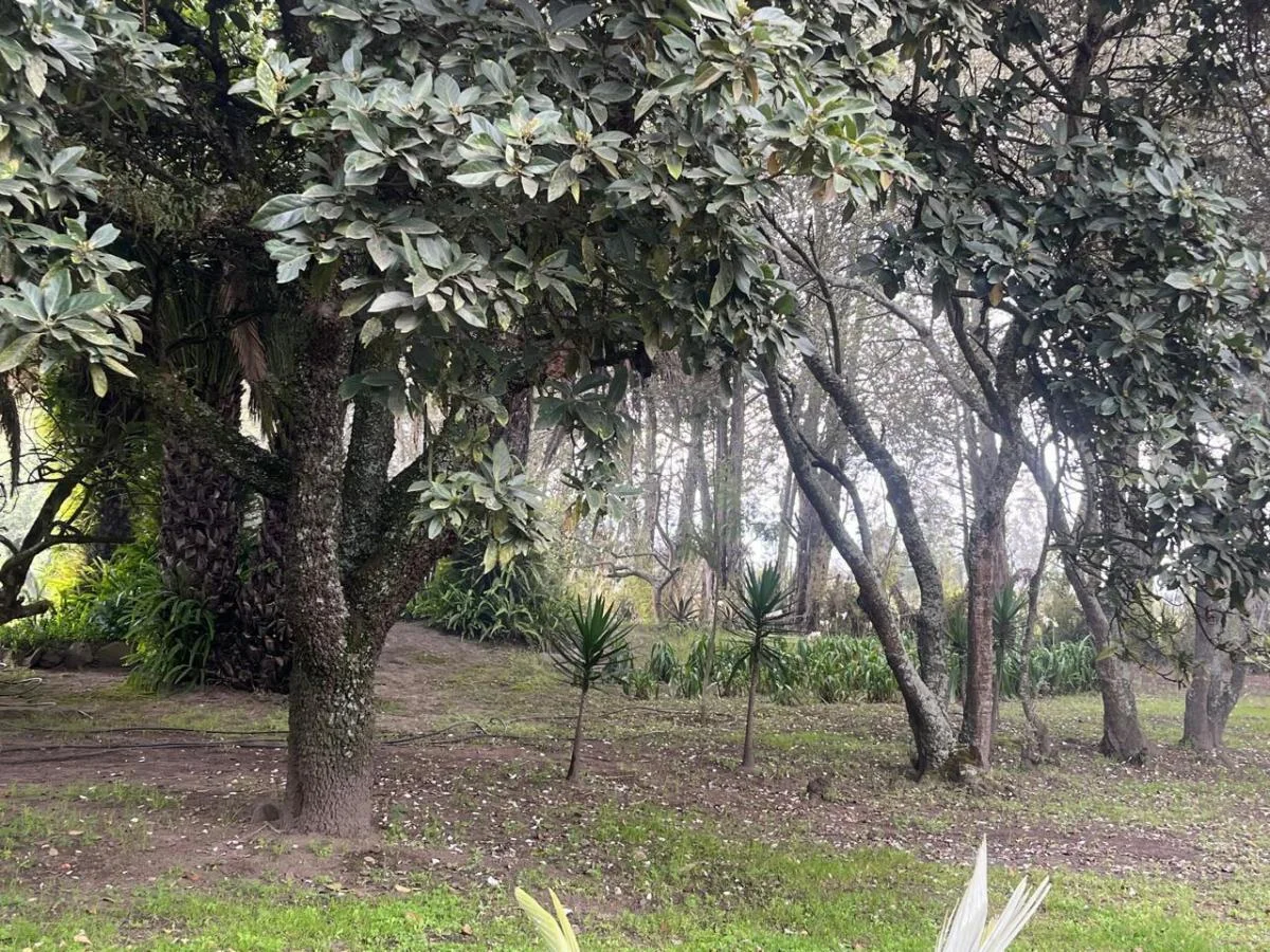 Venta de Terreno en Guayllabamba 5000 m - Santa Mónica — imagen 4