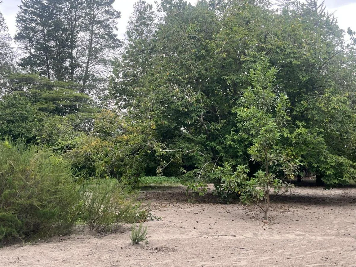 Venta de Terreno en Guayllabamba 5000 m - Santa Mónica — imagen 3