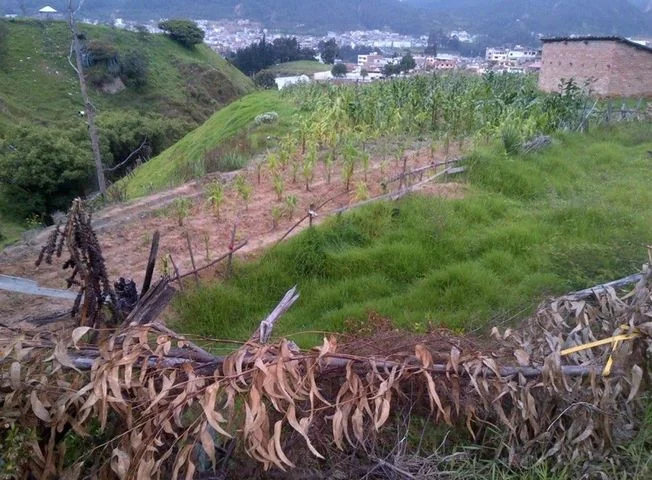 Terreno en venta en Loja — imagen 2