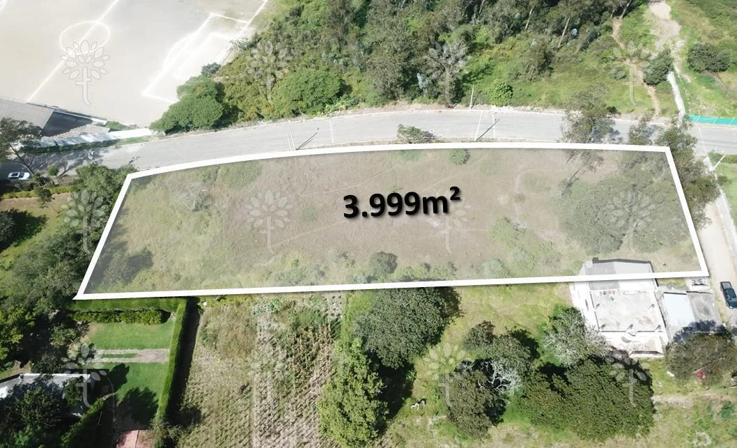Terreno de Venta en Nayón 3.999 m² Independiente — imagen 2