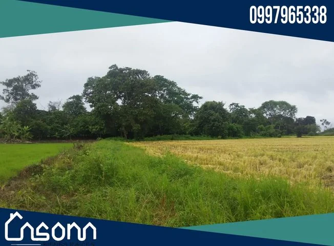 Terreno en venta en Babahoyo — imagen 3