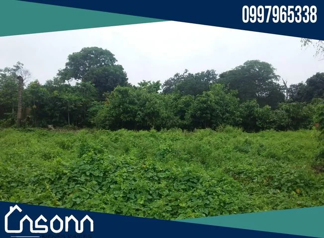 Terreno en venta en Babahoyo — imagen 2