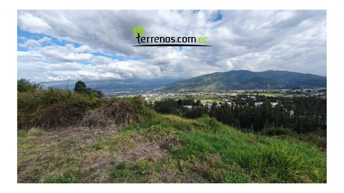 Terreno Venta Varias Vivienda Cumbaya 1267 m² Urbanización Proyecto Inmobiliario — imagen 3