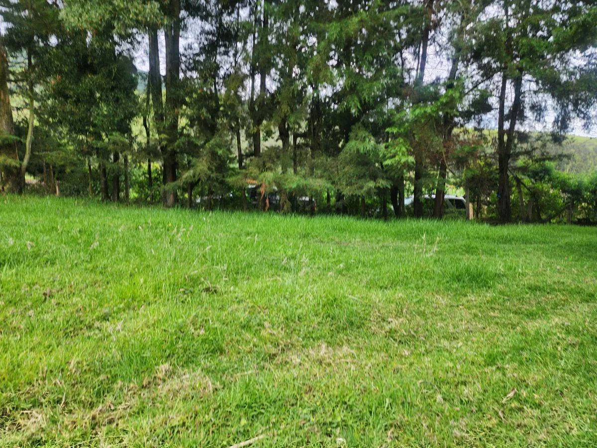 Bajo de Precio! Vendo Bonito Terreno 5.000 m Suelo Rural con Agua de Riego yaruqui — imagen 2