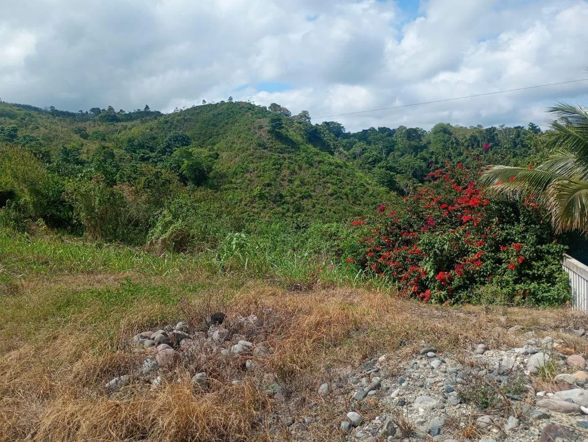 Terreno de Venta en Same, Atacames — imagen 2