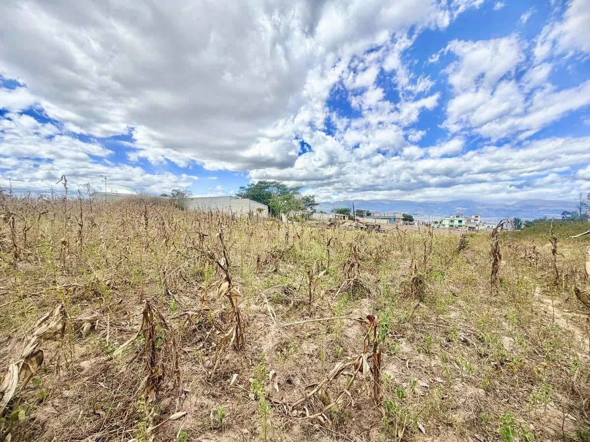 Se Vende Terreno en Llano Grande — imagen 4