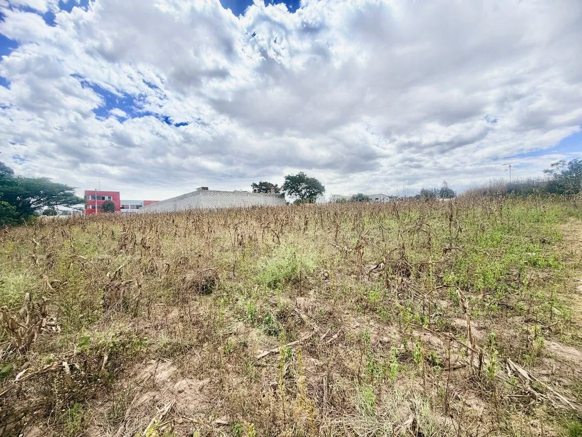 Se Vende Terreno en Llano Grande — imagen 3