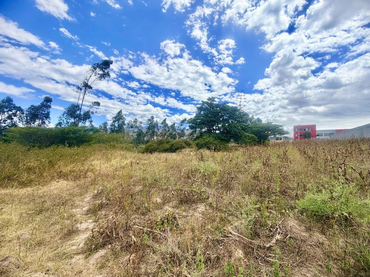 Se Vende Terreno en Llano Grande — imagen 2