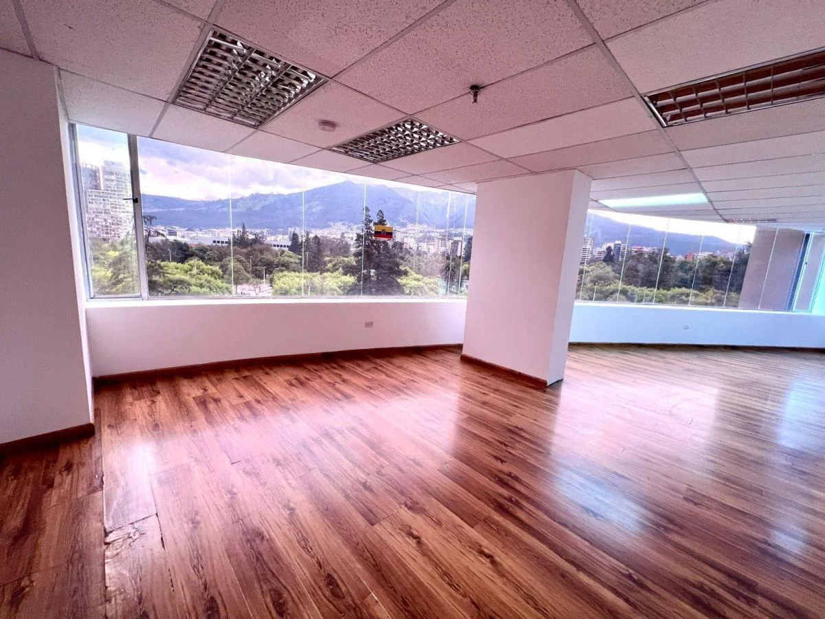 Oficina en La Carolina — imagen 4