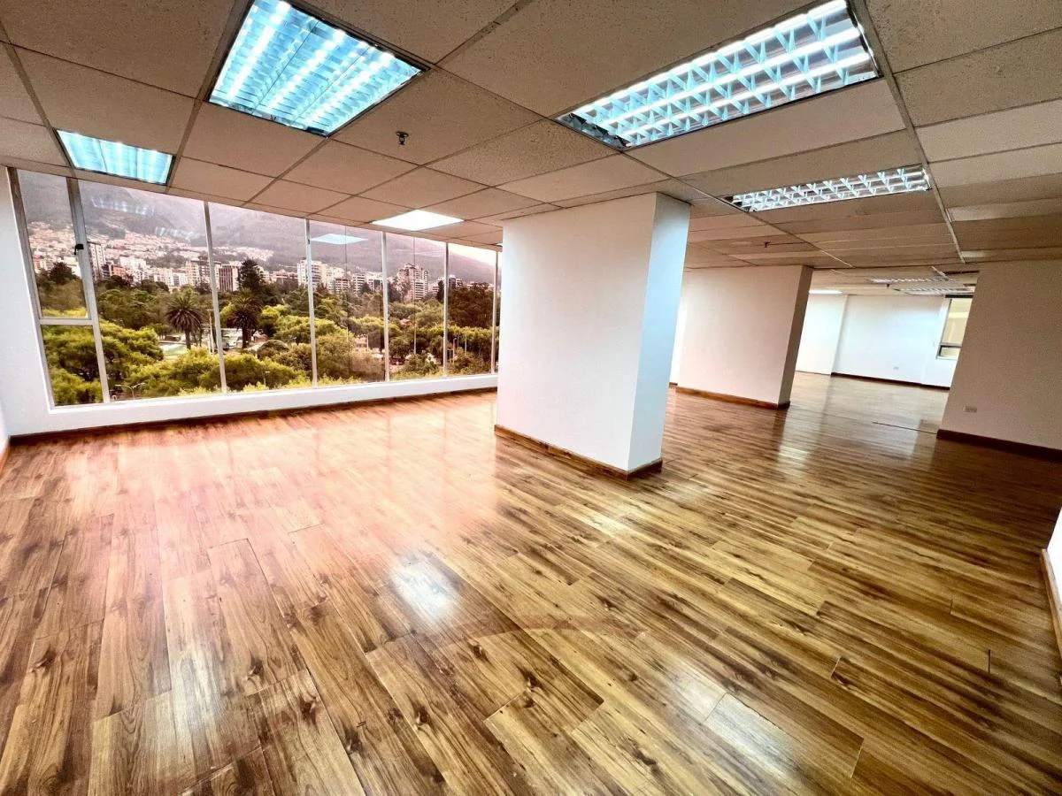 Oficina en La Carolina — imagen 3