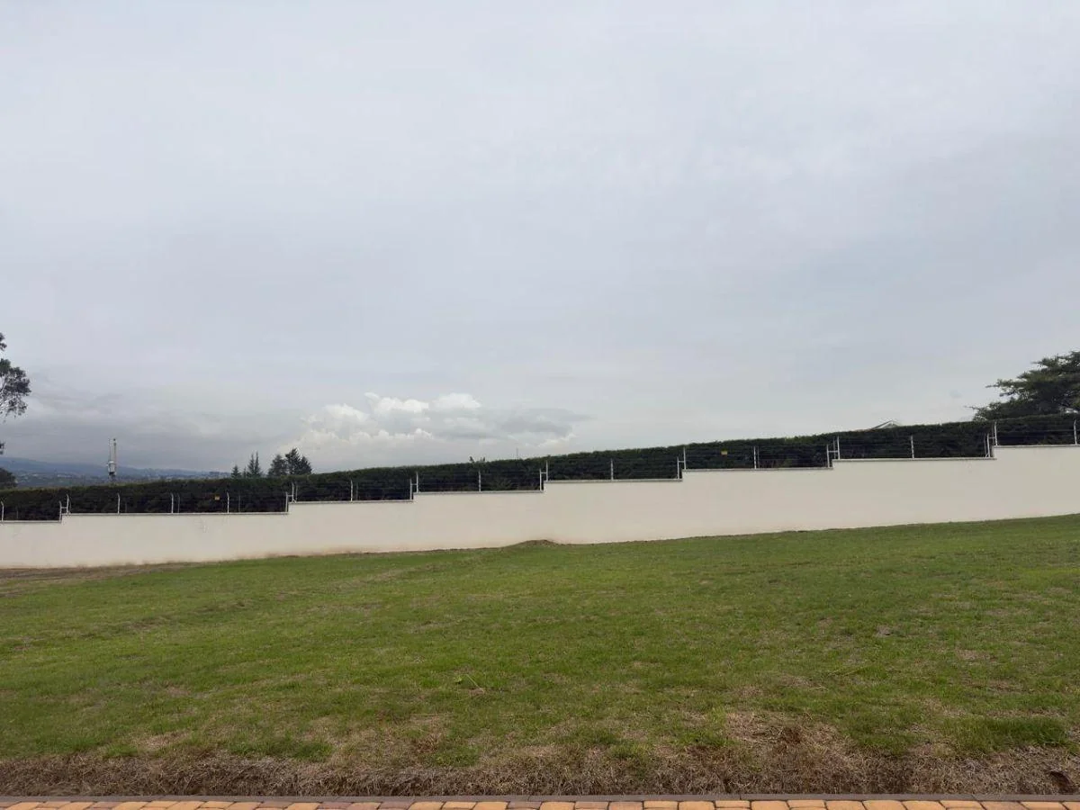 Terreno de Venta, Plano, Dentro de Urbanización Exclusiva, Puembo, Precio de Oportunidad. Provincia de Pichincha — imagen 3