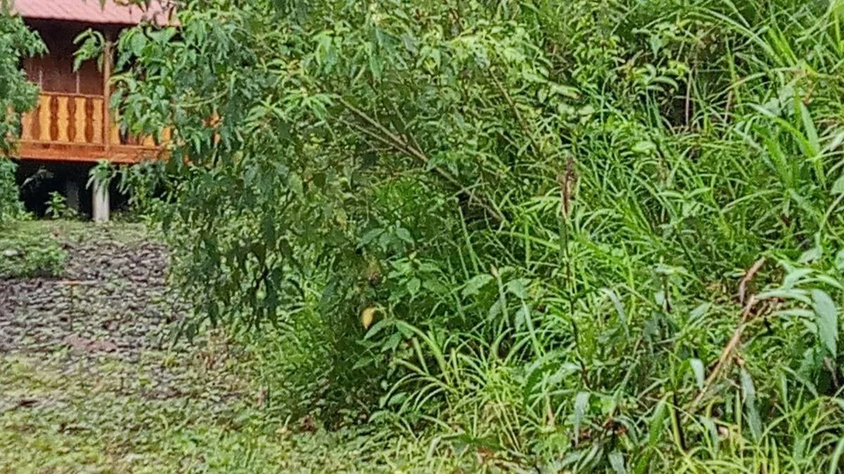 Se Vende Terreno Comercial Via Al Tene en Puyo Pastaza, Pastaza — imagen 4