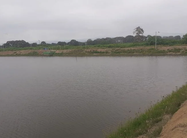 Terreno en venta en Naranjal — imagen 2