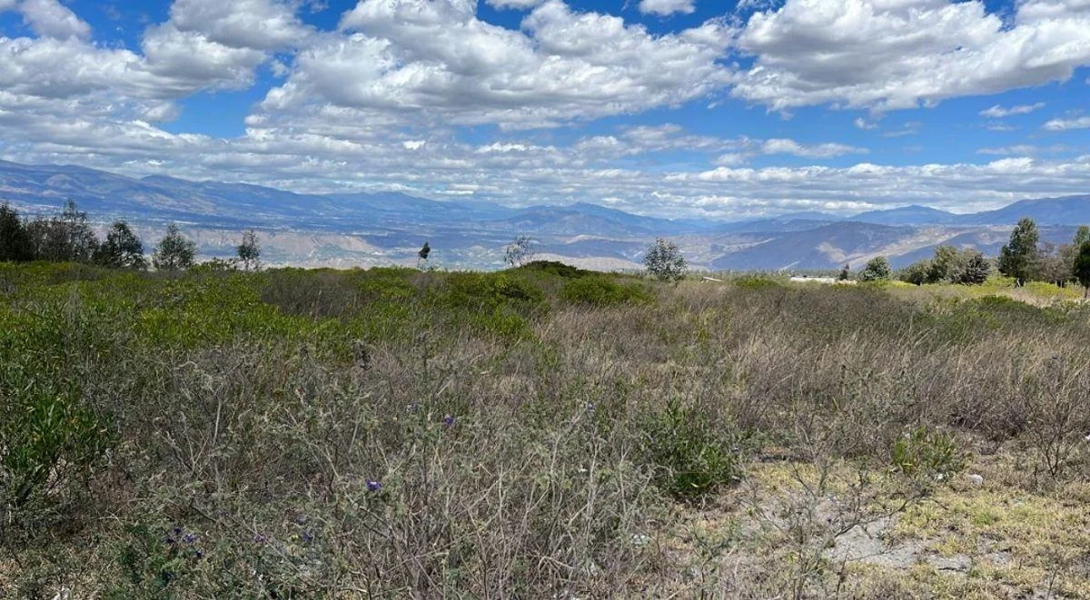 Terreno de 20645 m² en Venta en Malchinguí — imagen 2