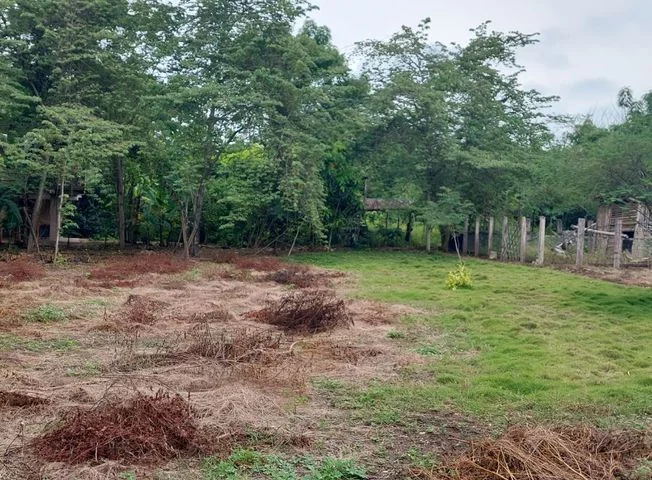 Terreno en venta en Santa Elena — imagen 1