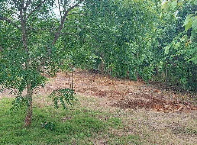 Terreno en venta en Santa Elena — imagen 4