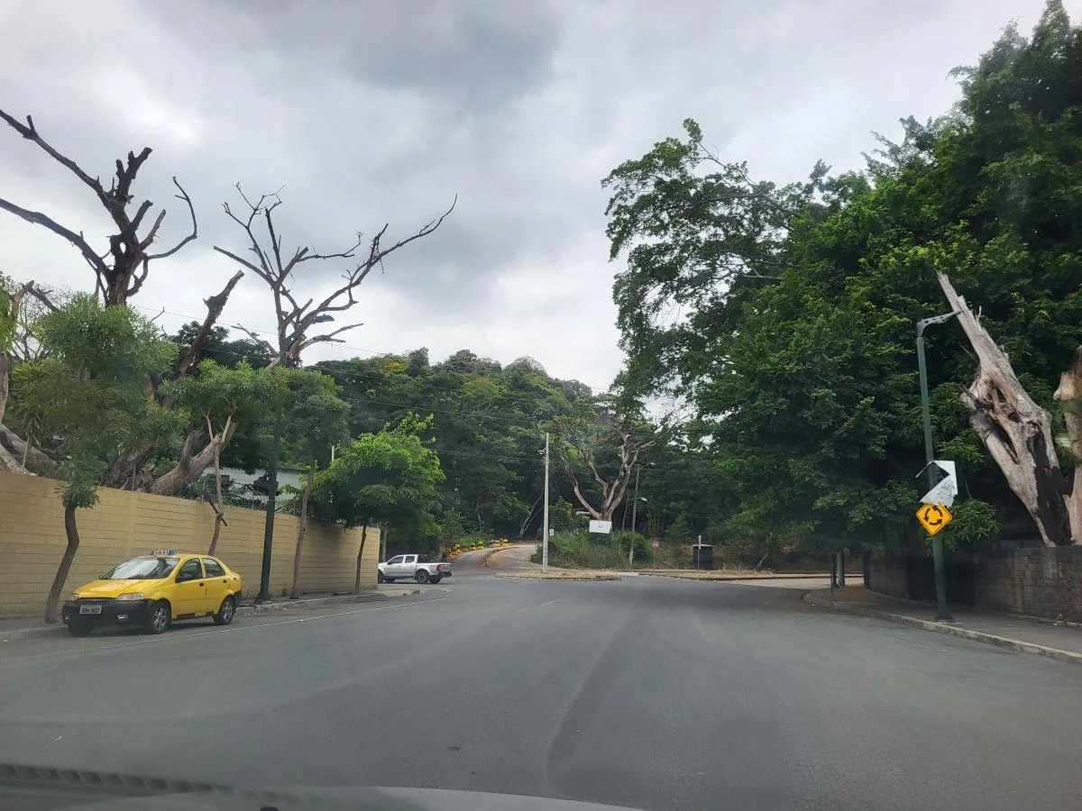 Terreno + Galpones + Oficinas + Casa Guardián en Venta Km 1 Vía a La Costa - Mae. Recalde, Guayas — imagen 2