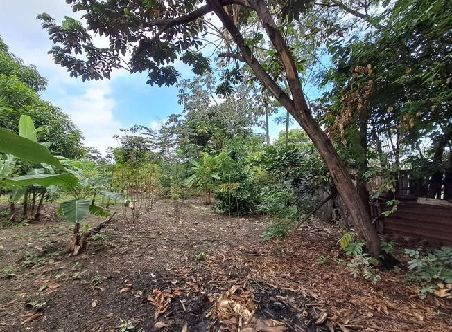 Terreno en venta en Norte De Guayaquil — imagen 2
