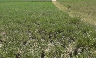 Terreno en venta en Tumbaco — imagen 1